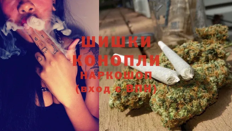 Марихуана SATIVA & INDICA  Кашира 